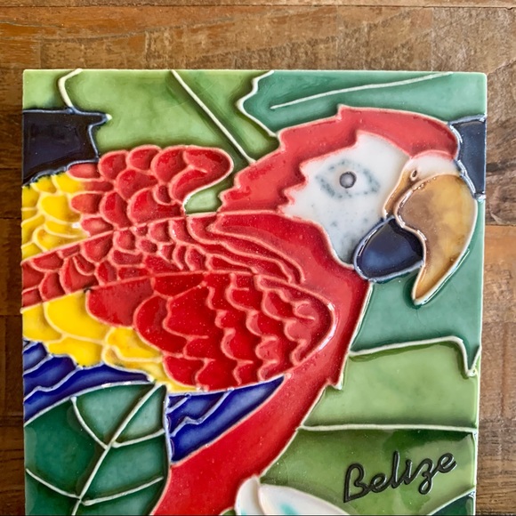Handmade Parrot Ceramic Tile / Wall Art - Picture 2 of 8